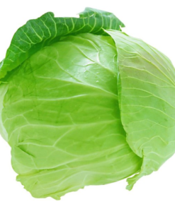 Garden Fresh Cabbage