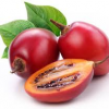 Fresh Tree Tomato Fruit Per Kg