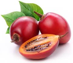 Fresh Tree Tomato Fruit Per Kg